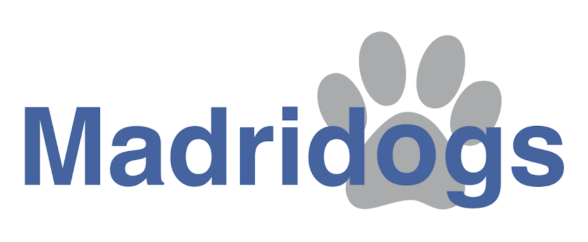 Madridogs - Adiestramiento y paseos caninos en Madrid