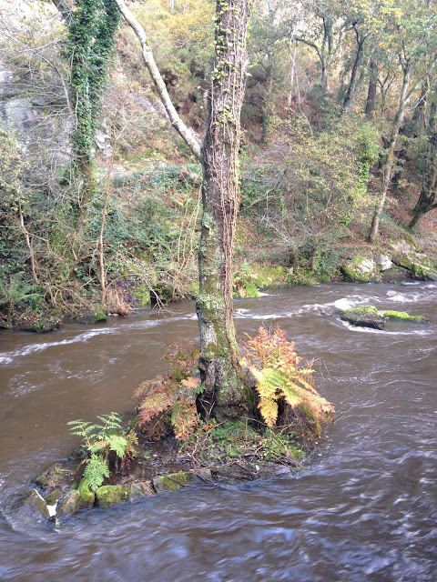 by E.V.Pita / River Anllons - Verdes (Spain, Galicia)