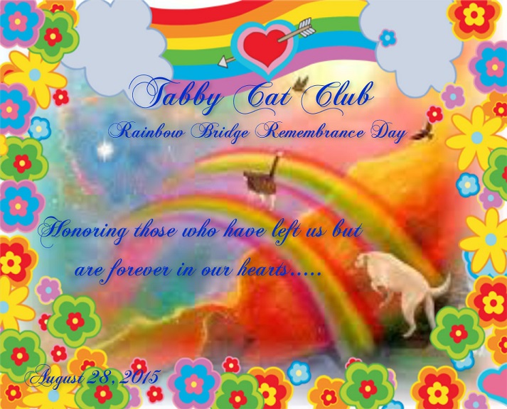 rainbow bridge remembrance day rainbow bridge remembrance day