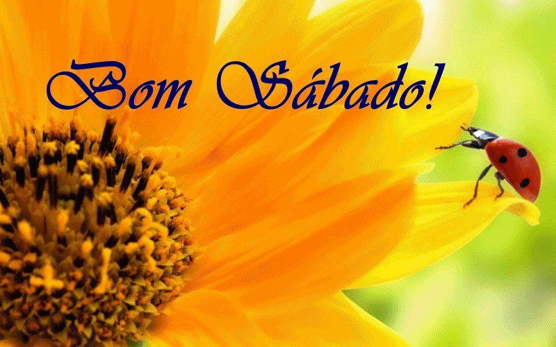 Risultati immagini per Bom Sabado