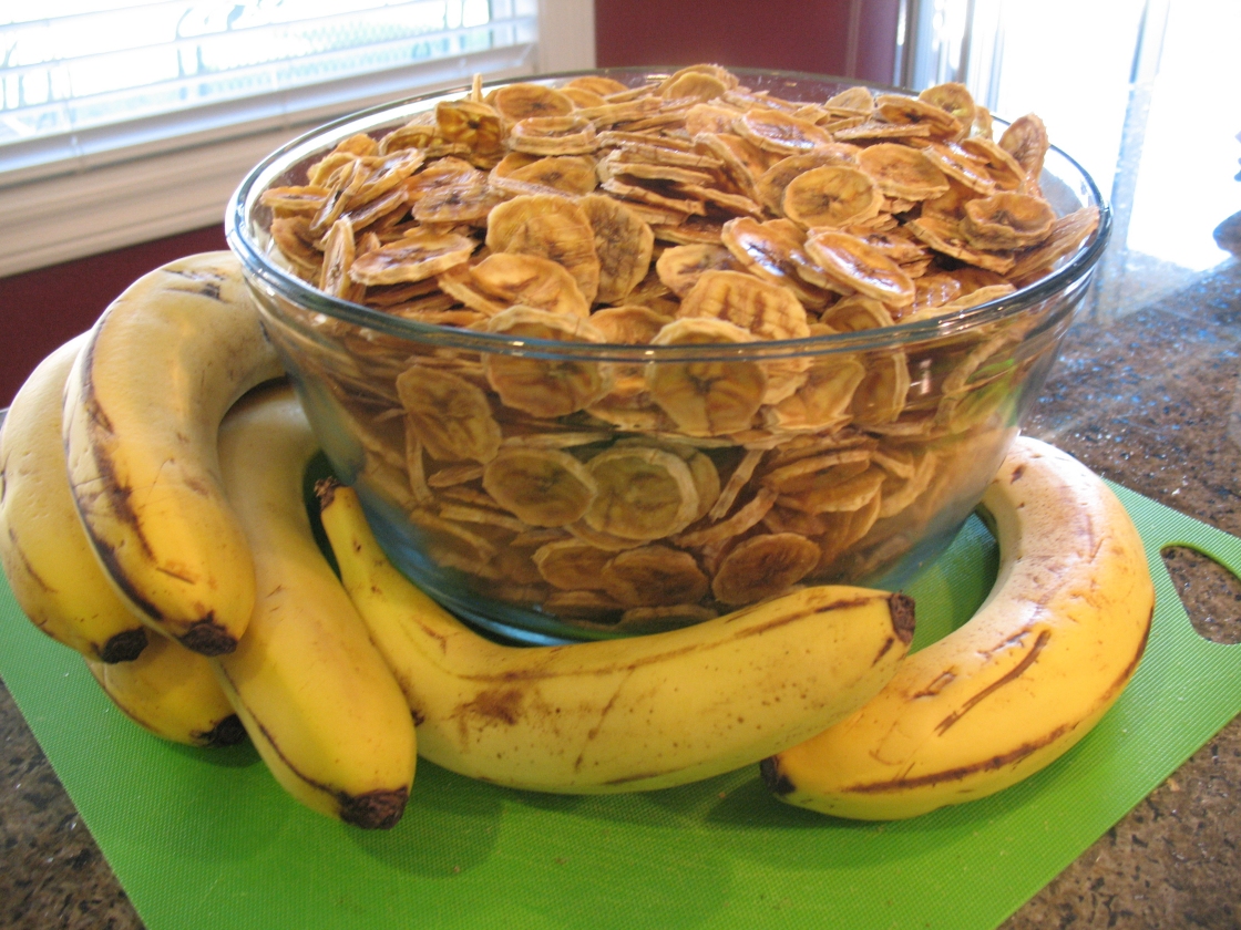 Master Food Preservers Tips for Dehydrating Fruit by Sheila