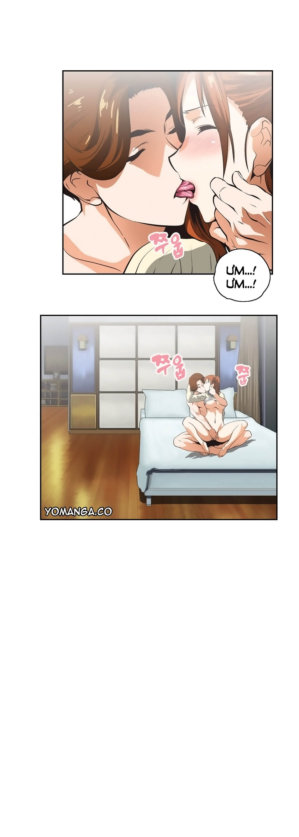 SStudy  Full 26 Chapter