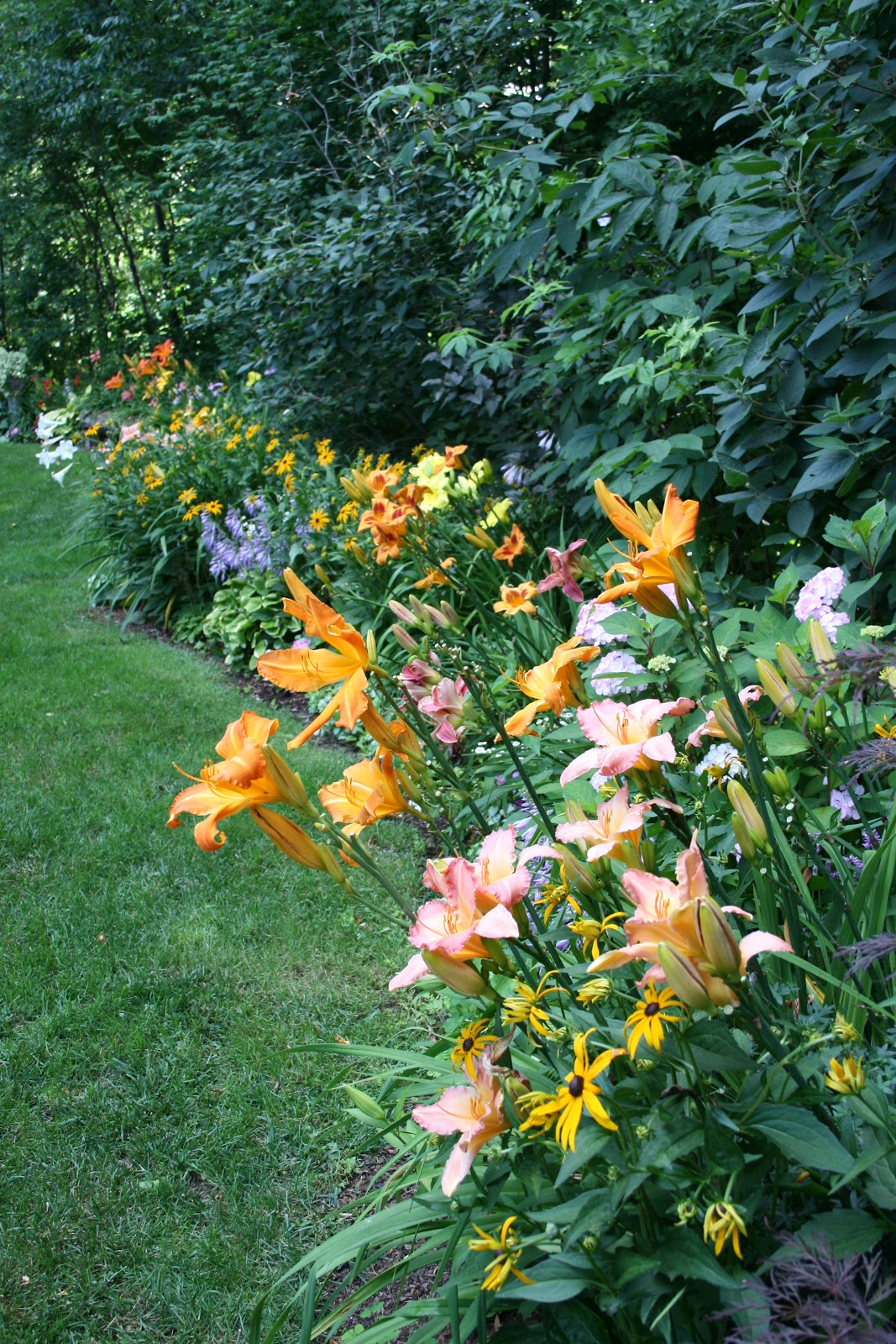 The Skillful Bee Favorite Garden Flowers zone 56