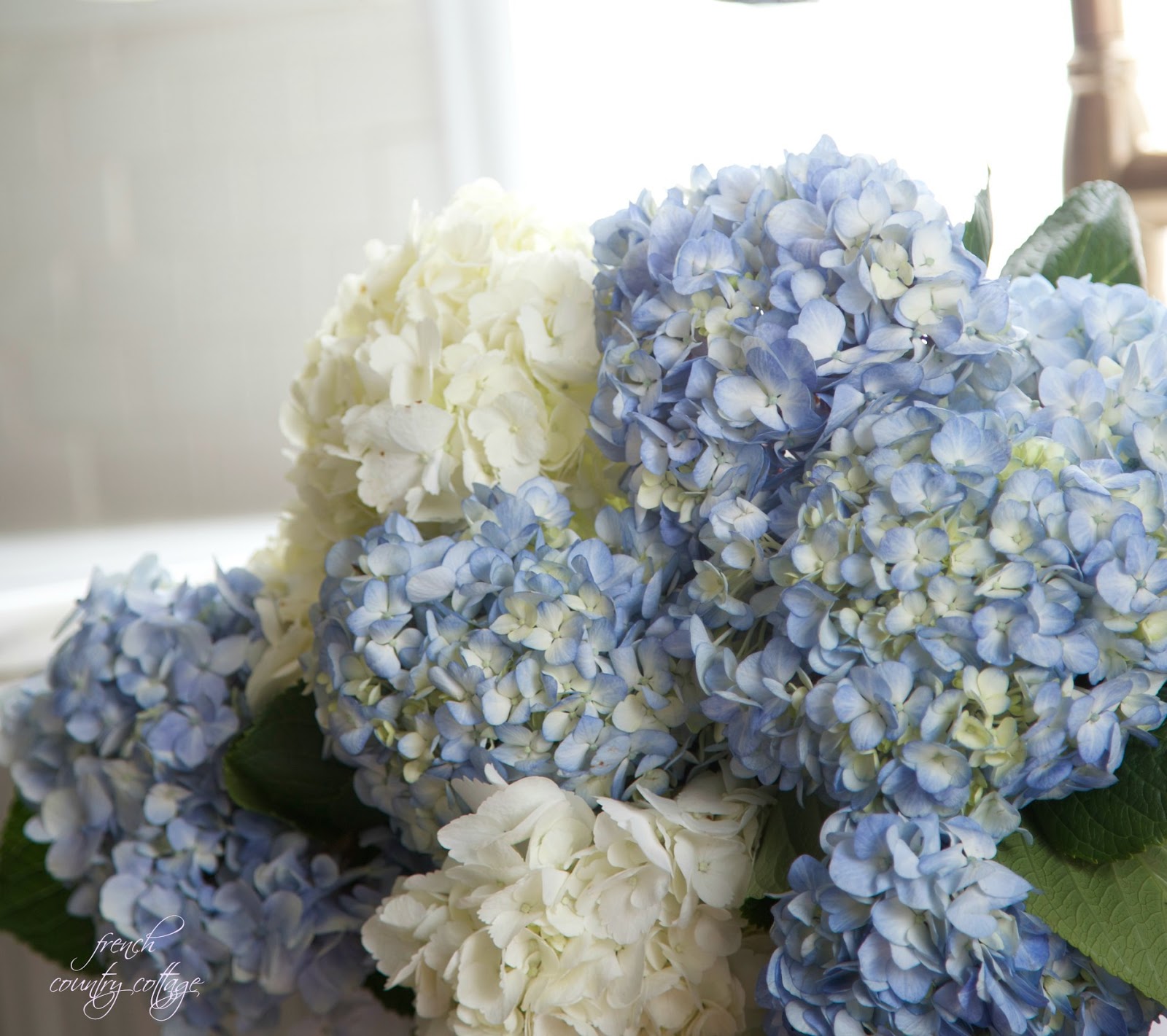 Flower Power 5 fix to keep hydrangeas fresh FRENCH COUNTRY COTTAGE