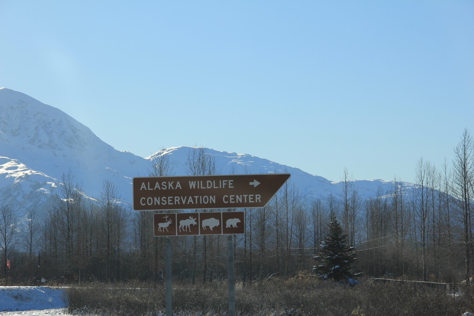 Kara Leigh Photography Stillwater Oklahoma Alaska Day