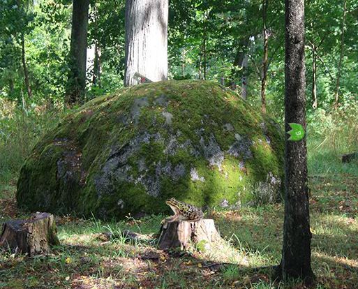 EscapeFan Pine Tree Forest Mystery Walkthrough