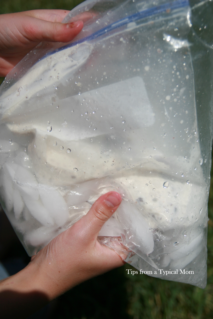 Homemade Ice Cream made in a baggie recipe Tips from a Typical Mom