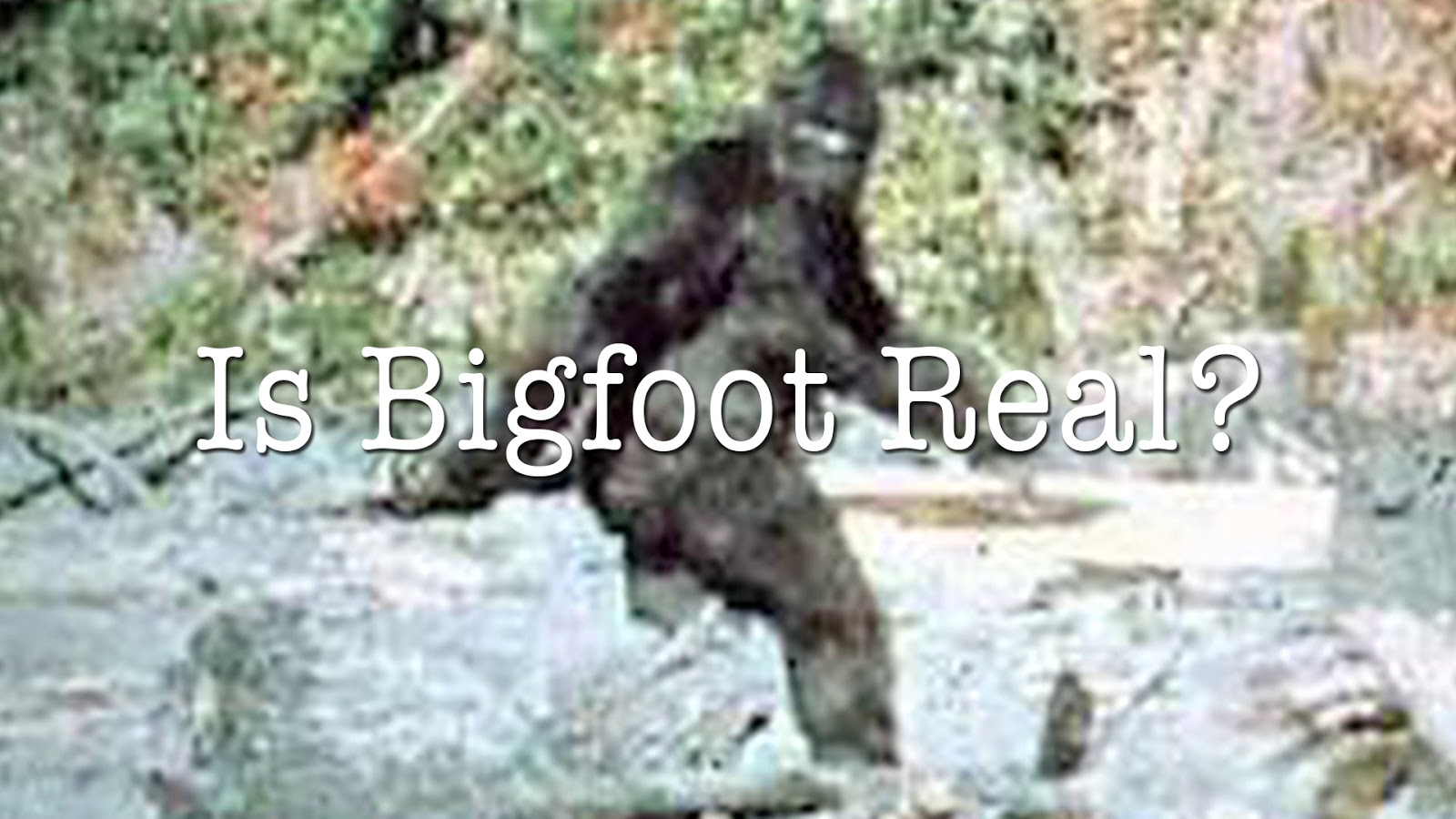an argument in favor of existence of big foot yeti and sasquatch North america has its own monster while scotland has its loch ness sea serpent and the himalayas has its abominable snowman or yeti, north america lays claim to sasquatch or, as he has been nicknamed, bigfoot sasquatch - a 7- to 8-foot-tall man/ape - has been sighted in north america for centuries . an argument in favor of existence of big foot yeti and sasquatch North america has its own monster while scotland has its loch ness sea serpent and the himalayas has its abominable snowman or yeti, north america lays claim to sasquatch or, as he has been nicknamed, bigfoot sasquatch - a 7- to 8-foot-tall man/ape - has been sighted in north america for centuries .