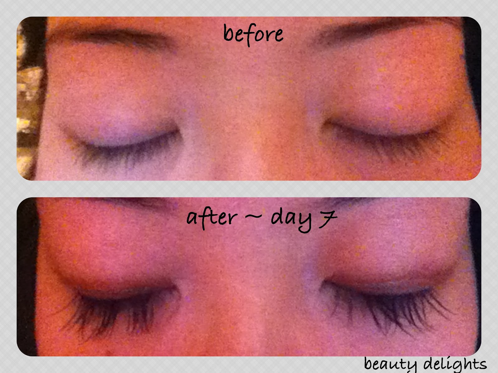 beauty delights REVIEW Mink Eyelash Extensions Week 2