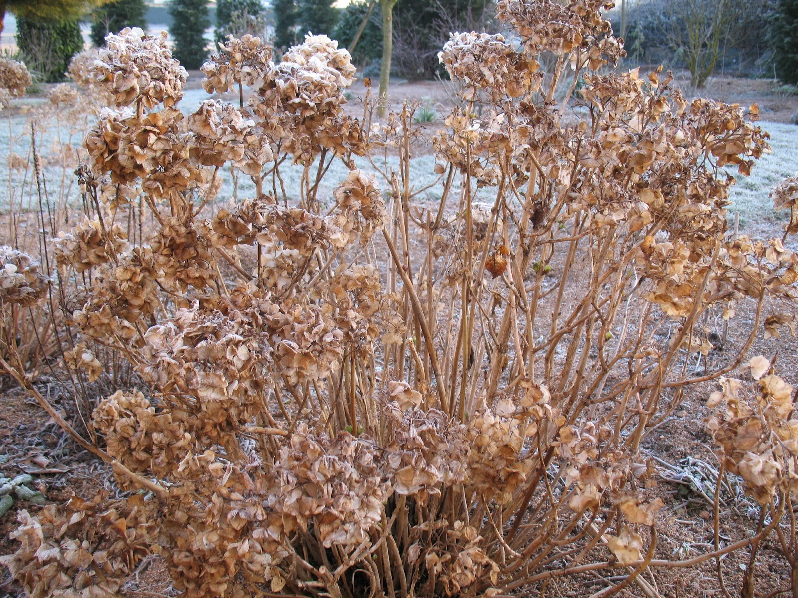 Insectes Espaces Instants