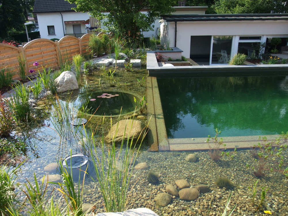 Natural Swimming Pools now in India | Blue Iris Pools Natural Swimming Pools now in India | Blue Iris Pools