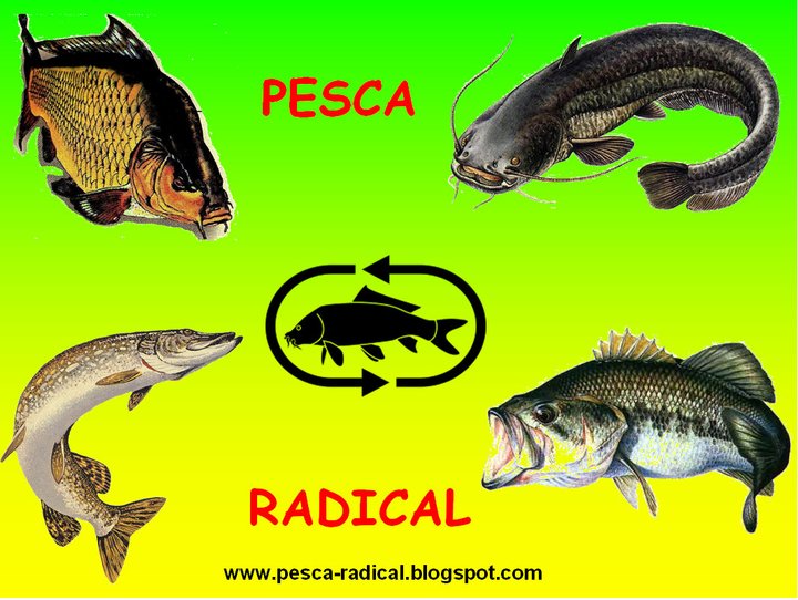 Pesca Radical