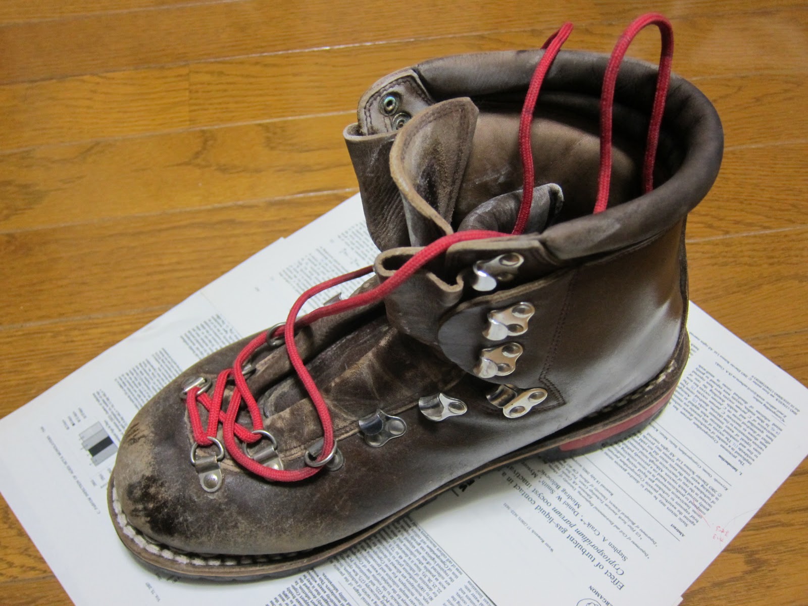 ドミネガくんの山日記: 登山靴の洗い方（重登山靴編）