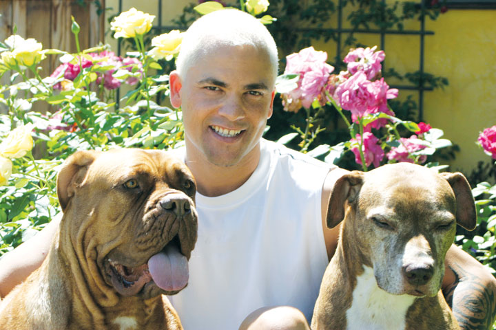 Don Sullivan Dog Training Videos Reviews Don Sullivan Dog Training Videos Reviews