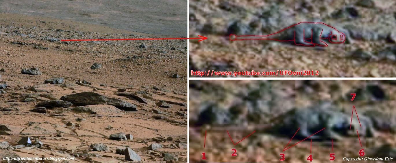 Ancient Aliens On Mars Live Animals On Mars