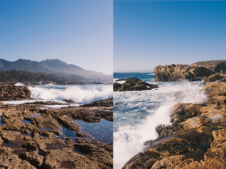 what to do in California Point Lobos