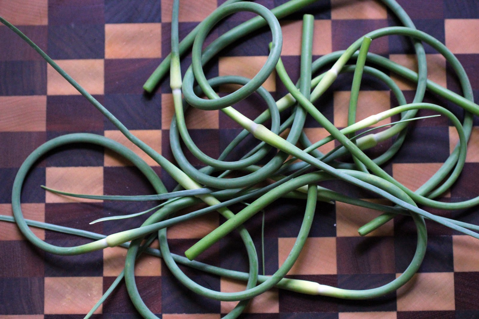 Garlic Scape Coconut Curry Soup With Summer Vegetables & Tofu The