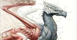 a natural history of dragons a memoir by lady trent a natural history of dragons a memoir by lady trent