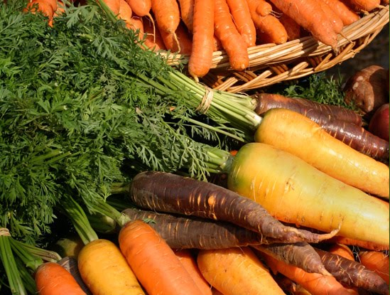 do carrots grow well in cold weather do carrots grow well in cold weather