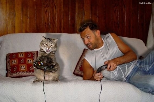 Funny Pictures Of Animals And People Funny Collection World