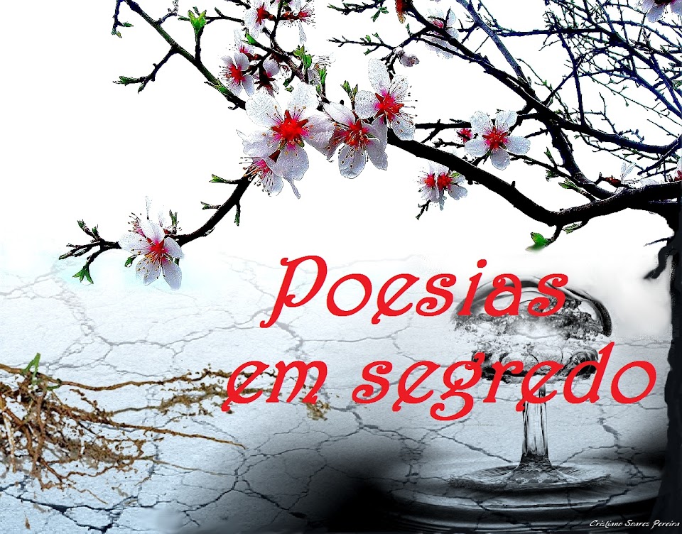 Poesias em segredo