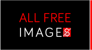 ALL FREE Images - Alternativestock