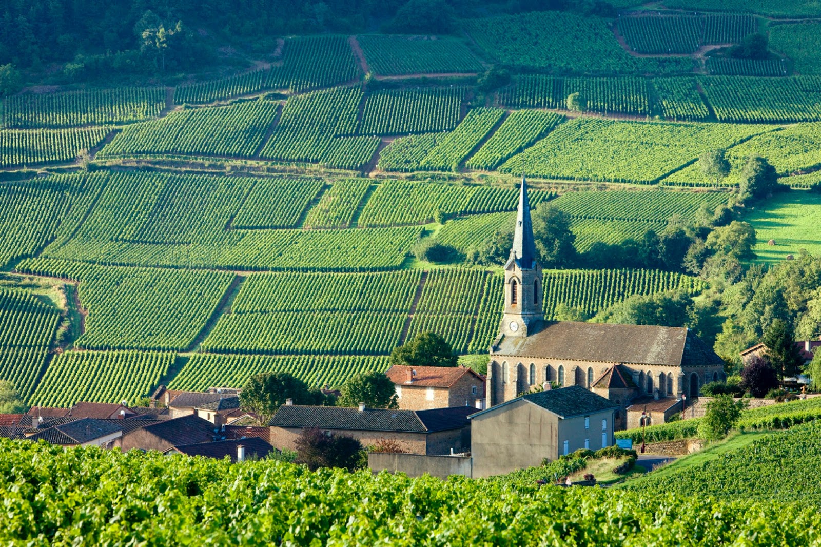 LE VOYAGE DE FRANCE, DRESSÉ POUR LA COMMODITÉ DES FRANÇAIS ET ÉTRANGERS - Burgundy+France+1