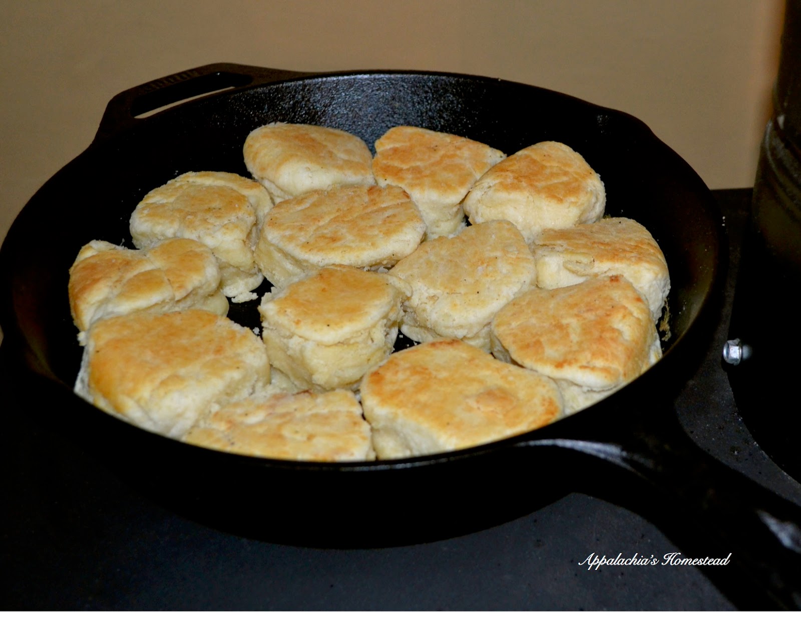 Appalachia's Homestead Wood Stove Biscuits