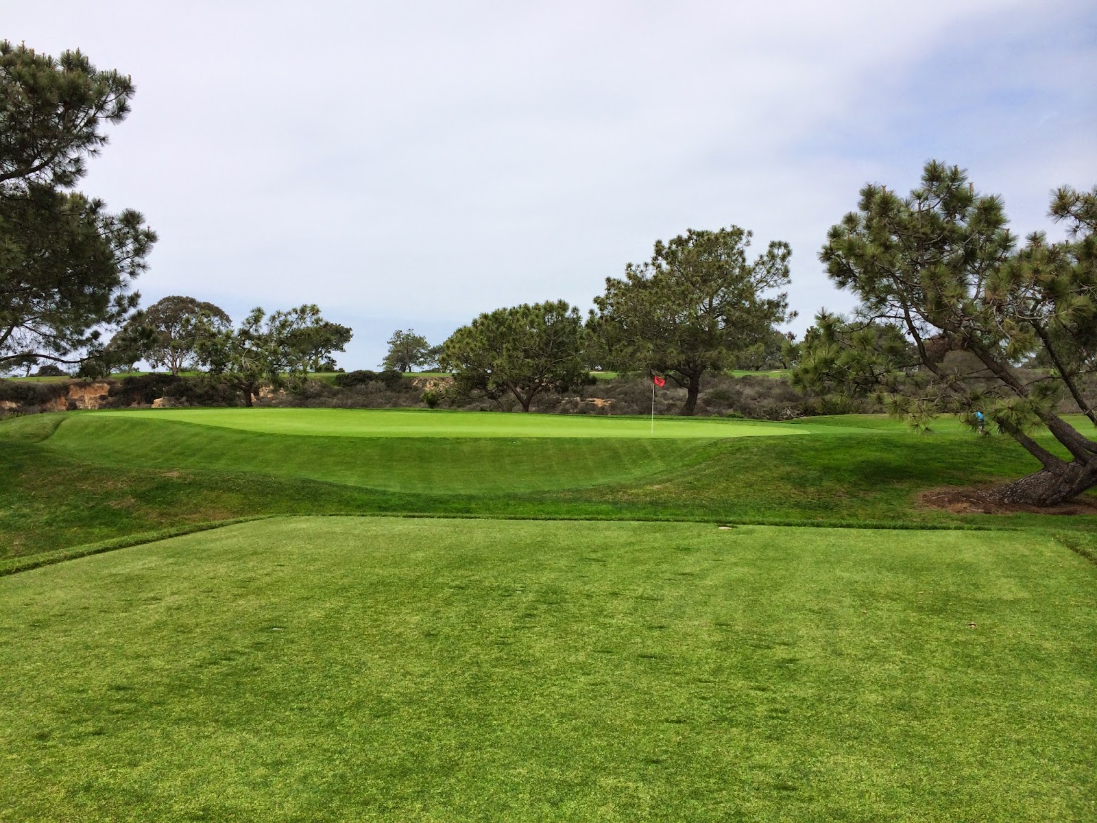 TASTE OF HAWAII TORREY PINES GOLF COURSE LA JOLLA, CALIFORNIA