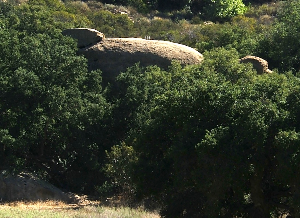 A drifting cowboy Meanwhile back at the ranch Cap Rock
