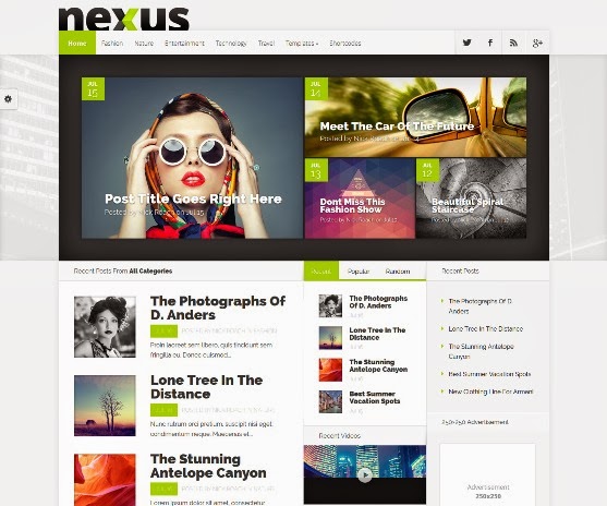Nexus WordPress Theme