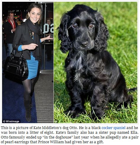 コーギーと英字新聞 英王室の犬たち 写真で見る歴代ロイヤルドッグ