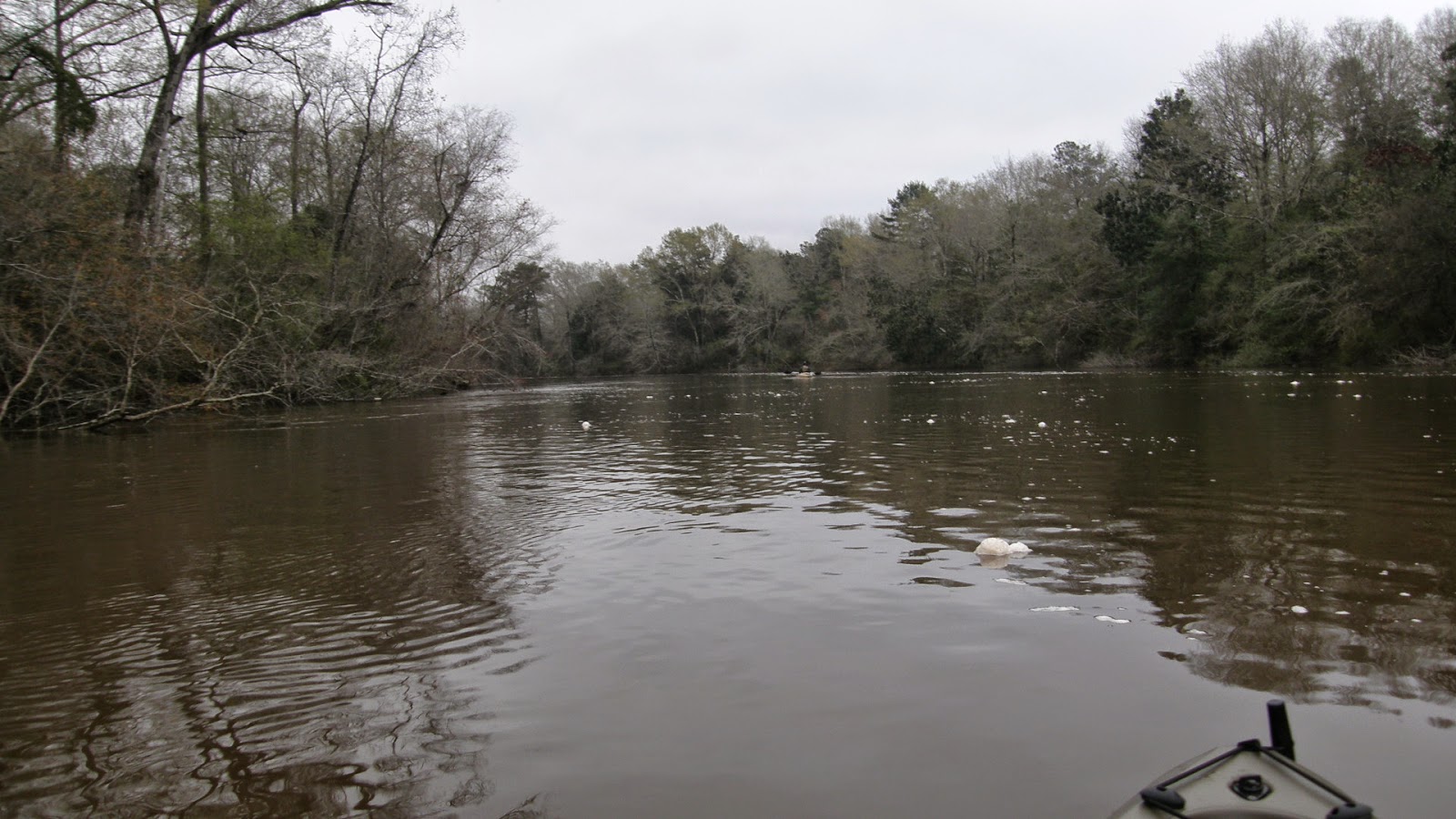 Kints Flood Stage Black Creek and Big Swamp, Pascagoula WMA, 14 March