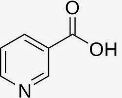 Para que serve a Vitamina B3 Funções e benefícios da Vitamina B3