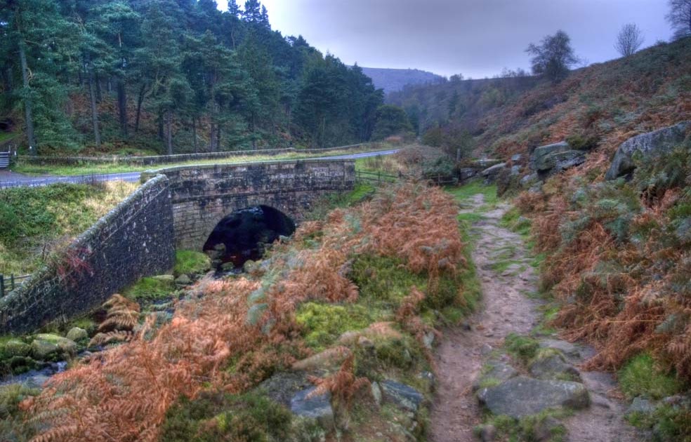 Out & About: Cutthroat Bridge & the Moscar stoops