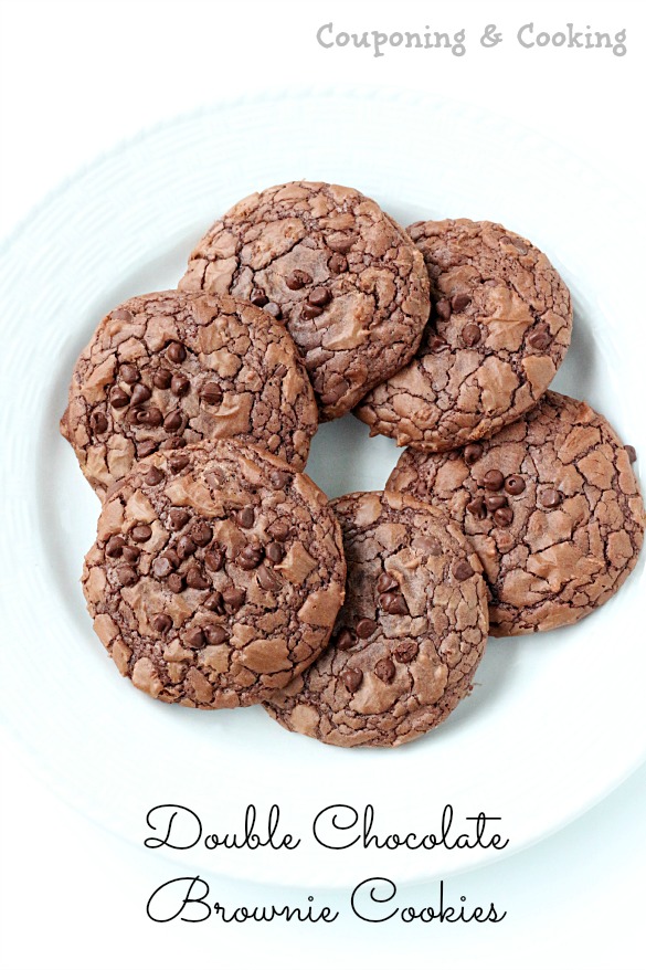 Tobins' Tastes Double Chocolate Chip Brownie Mix Cookies