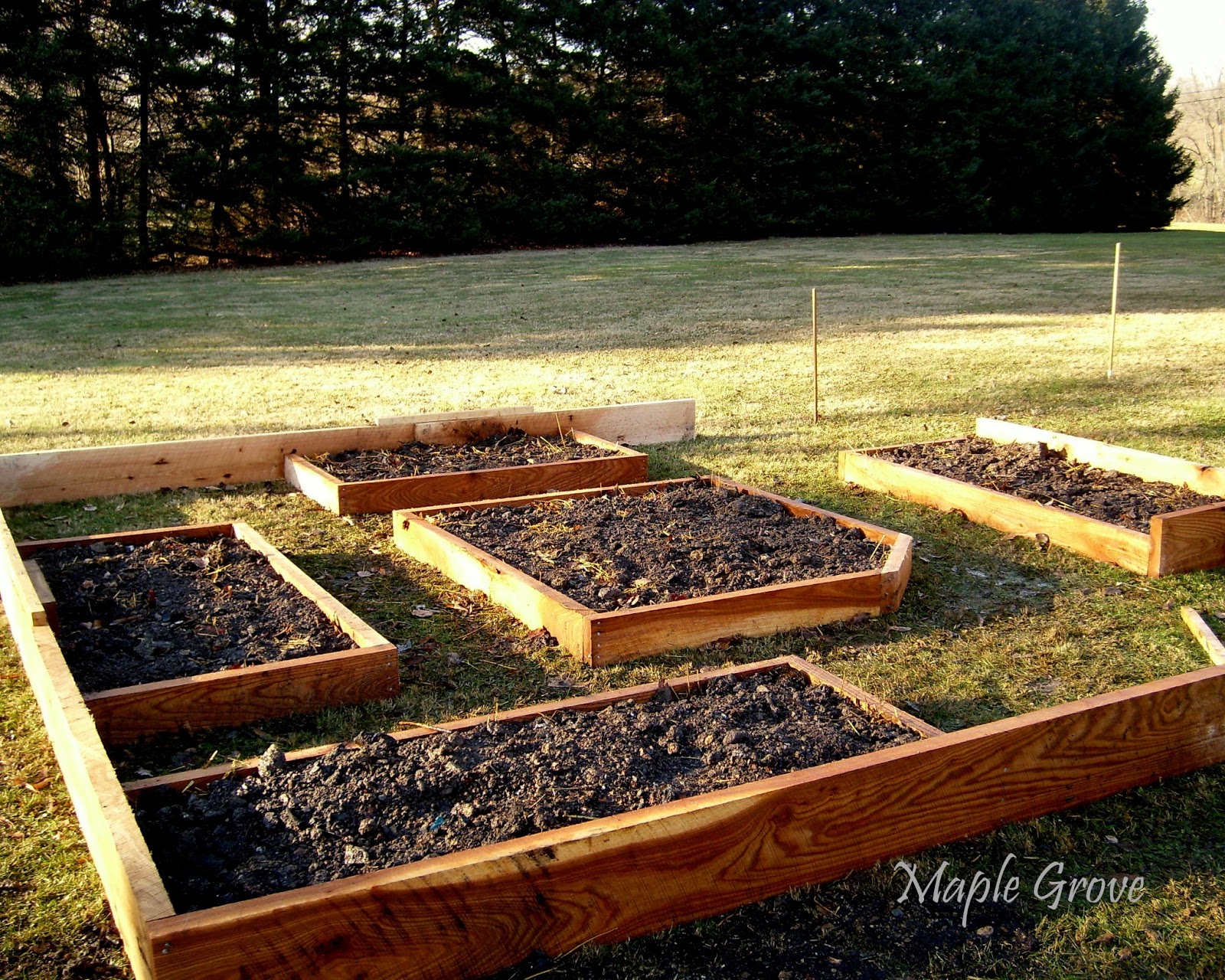 Maple Grove Raised Bed Gardening with Compost Sandwiches