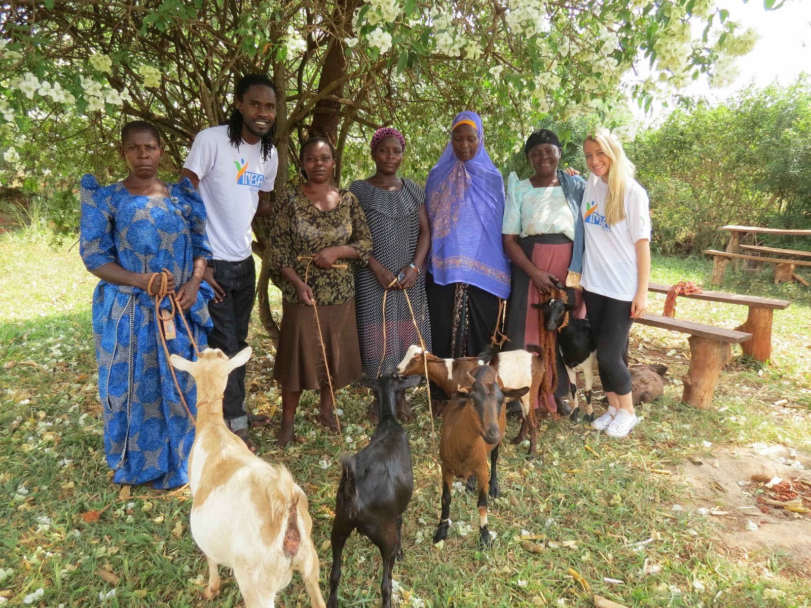YIMBA UGANDA GOAT LOAN PROJECT