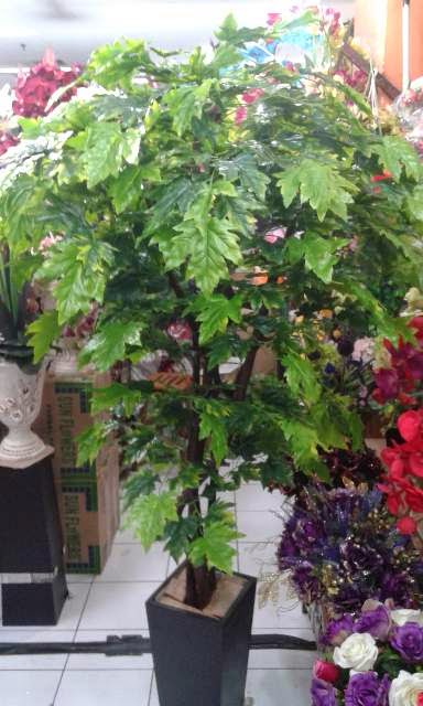 Pilihan perdagangan daun maple