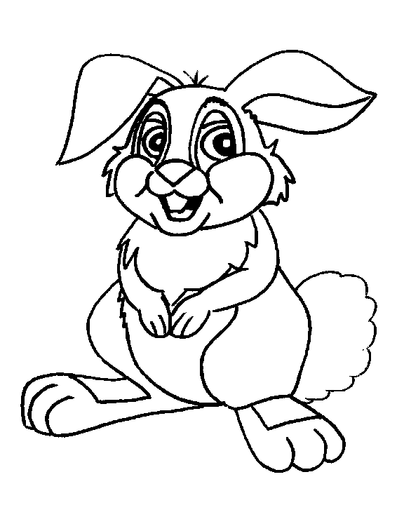 Cartoon Animal Coloring Pages Cartoon Animal Coloring Pages