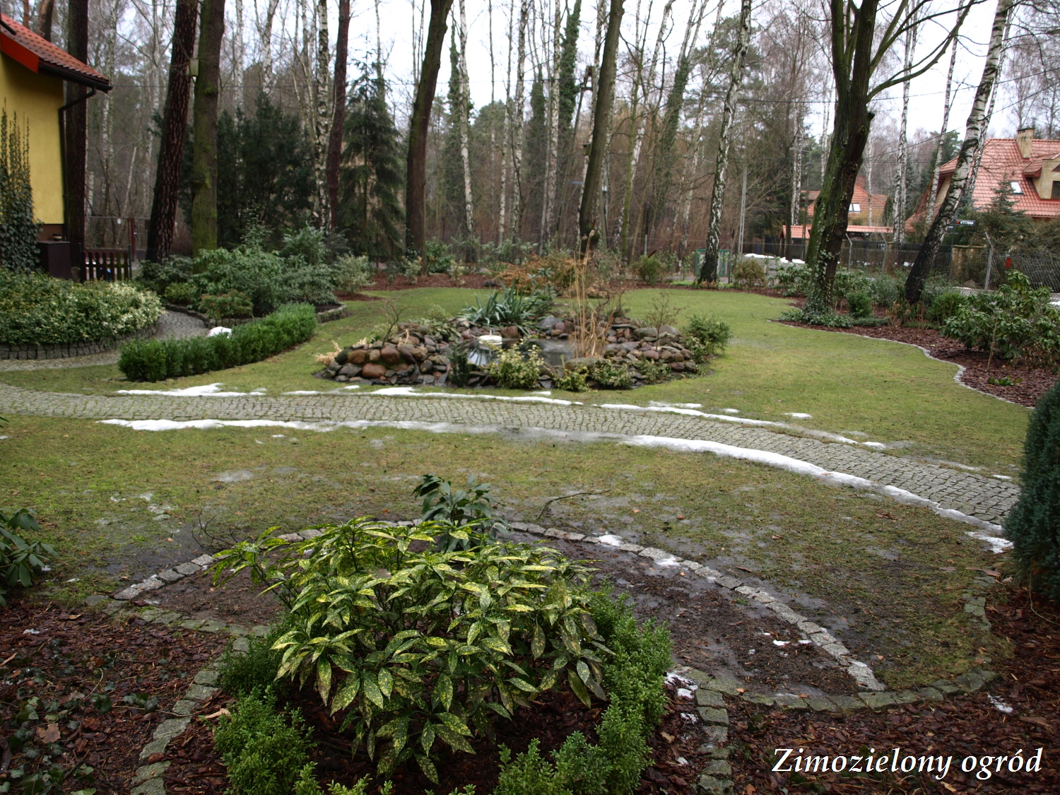 Zimozielony Ogrod Stycznia 2016