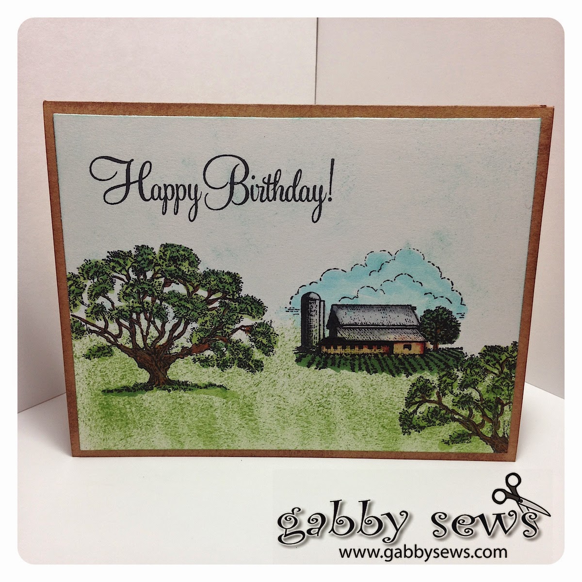 gabby sews: Country Born Birthday