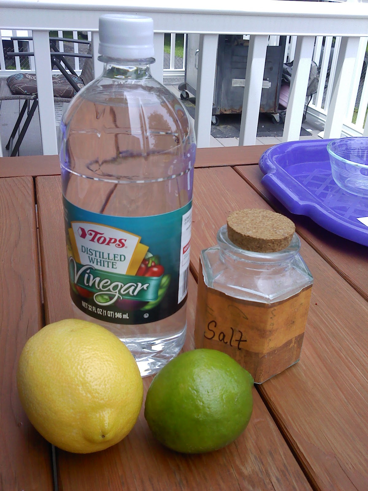 The Cookie Train Scrubbing the Statue of Liberty cleaning pennies with vinegar