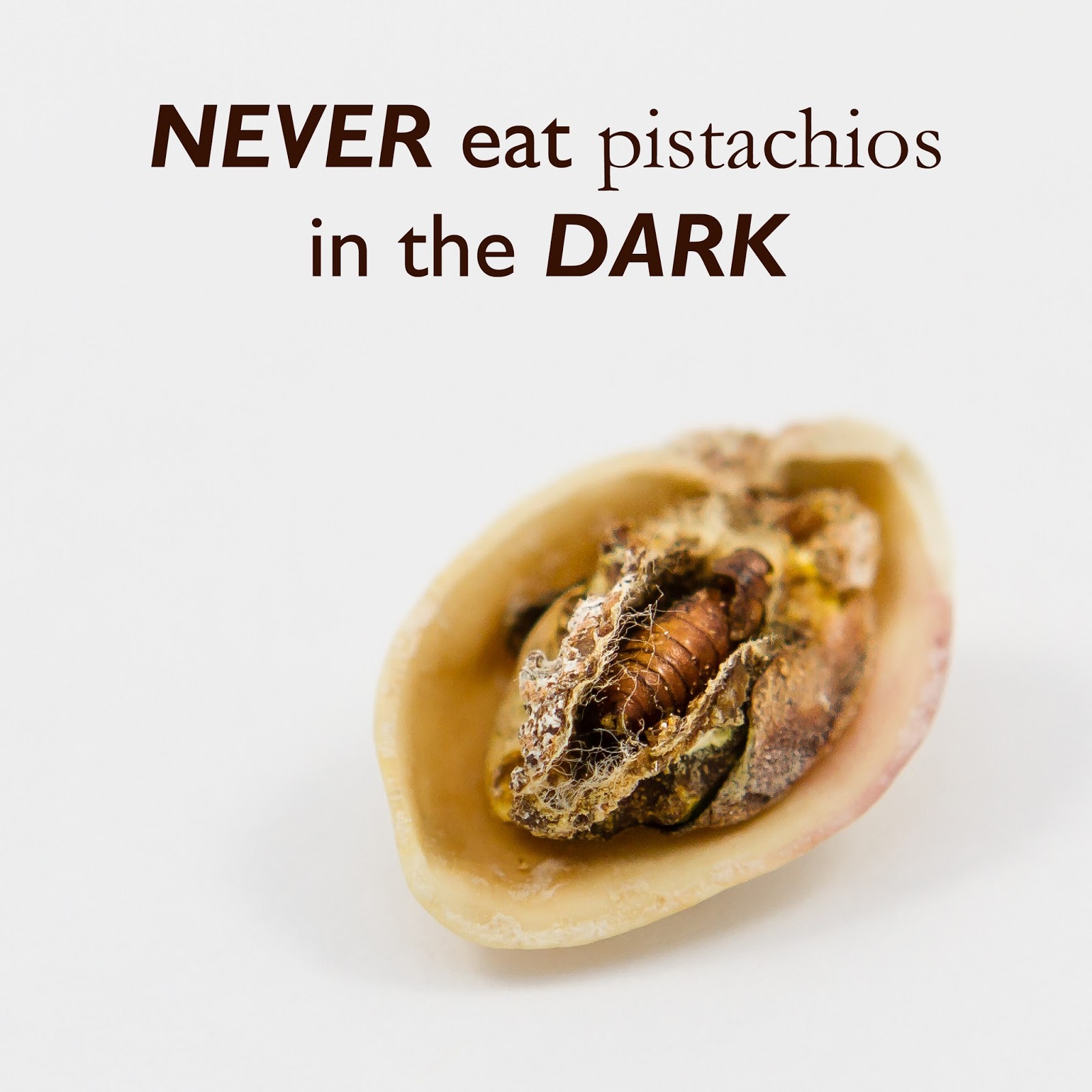 Found two tiny crabs in the mussel I was about to eat WTF