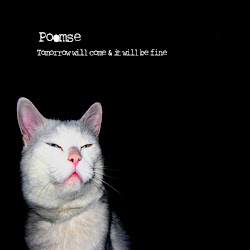 Tomorrow will come & it will be fine (Foehn Records 033)
