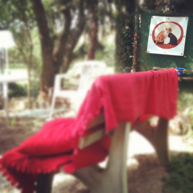 Taunus Wiesbaden Speierskopf