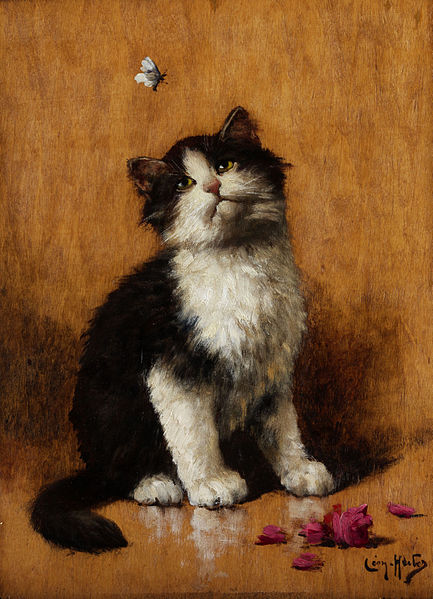 Cat With Backward Ears Cat With Backward Ears
