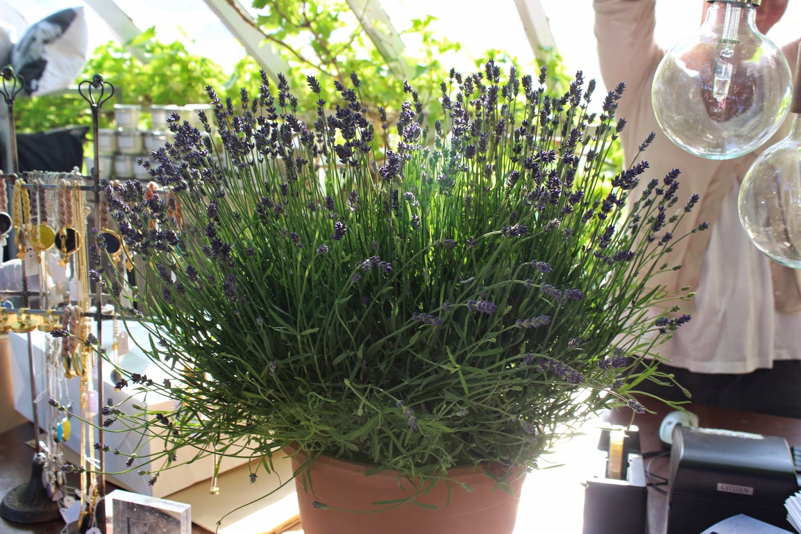 Marthamildred blogg: juni 2014