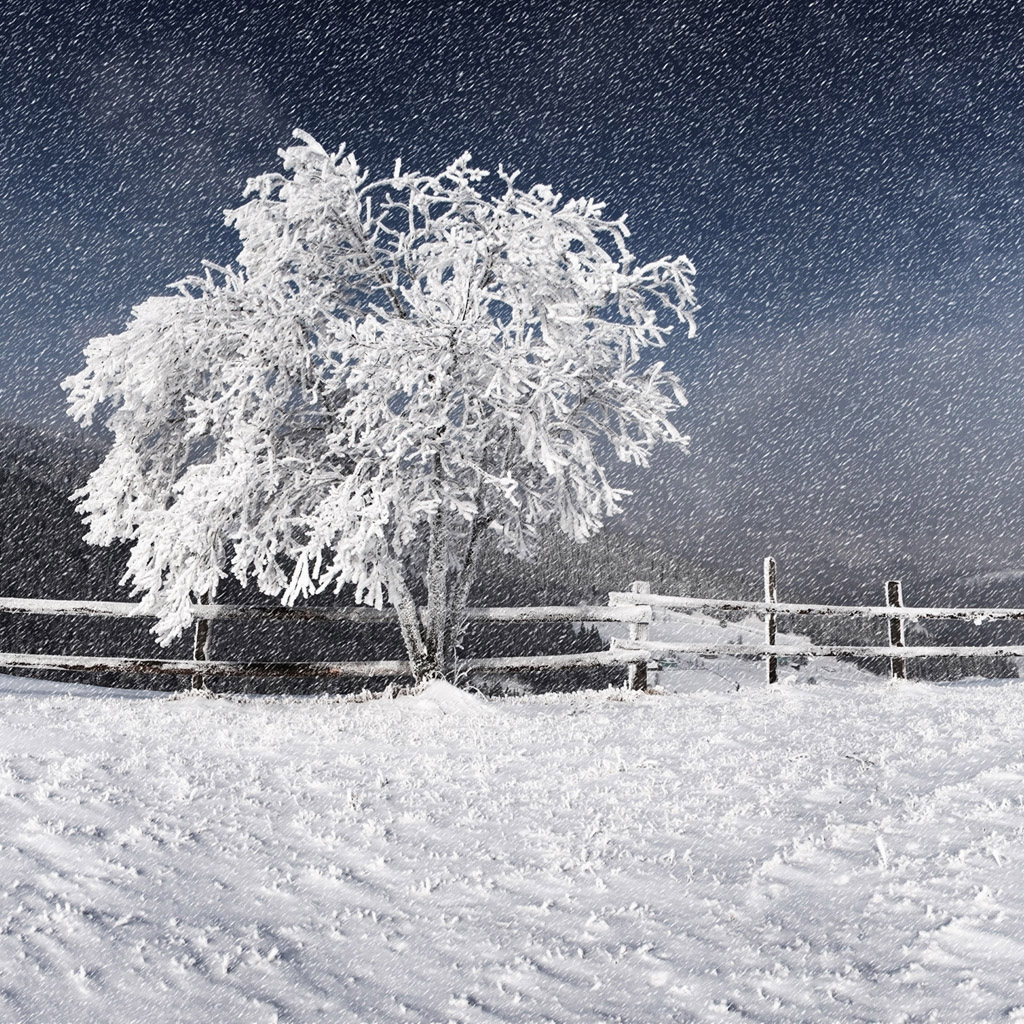 Local Partnerships for Rural