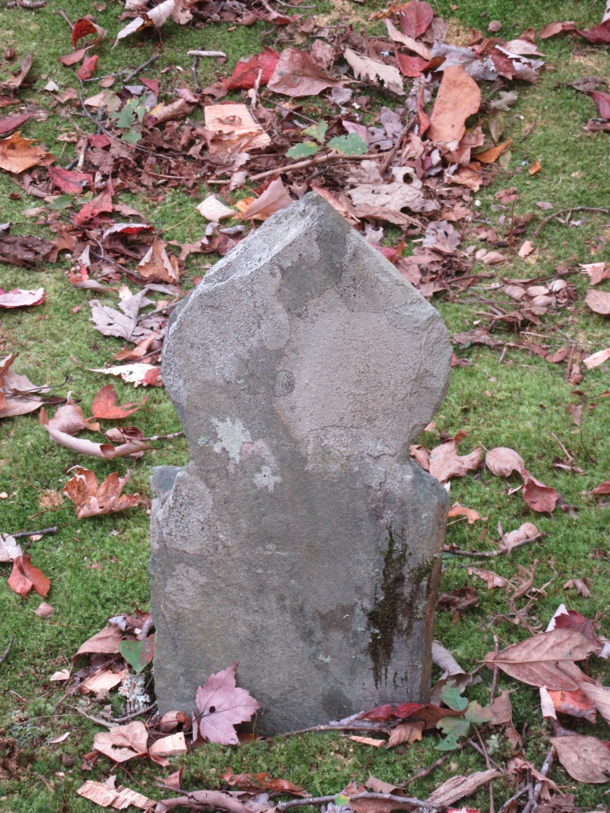 Smoky Mountain Cemetery Creeping Moore Cemetery